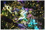 R1-02889-0036