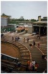 42920034