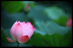 IMG_6555
