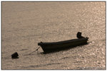 IMG_5823a
