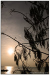 IMG_5827a
