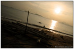 IMG_5866a
