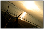 IMG_5895a