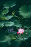 P1050300