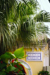 P1050340