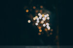4-Moscow-0679-P1760138