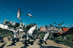 4-Moscow-0762-P1760399
