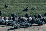 4-Moscow-0767-IMG_7587