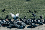 4-Moscow-0769-IMG_7599