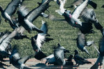 4-Moscow-0772-IMG_7605