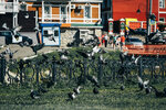 4-Moscow-0778-IMG_7661