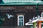 4-Moscow-0812-IMG_7900
