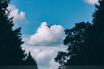4-Moscow-1529-IMG_9675