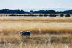 11-0200-IMG_6029