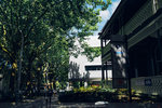P1090332