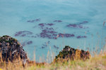 5-0013-IMG_2428