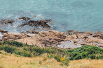 5-0019-IMG_2438