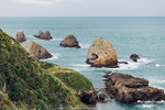 5-0022-IMG_2443