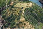 5-0080-IMG_2517