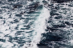 5-0102-IMG_2530