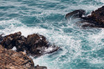 5-0105-IMG_2536