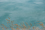 5-0113-IMG_2557