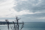 5-0118-IMG_2565