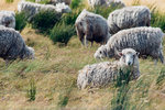 5-0133-IMG_2574