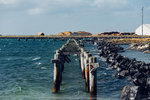 5-0136-IMG_2584