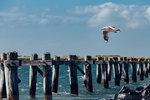 5-0144-IMG_2607