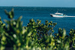 5-0184-IMG_2672