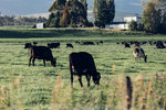 5-0211-IMG_2728