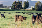 5-0212-IMG_2730