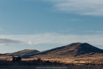 5-0219-IMG_2788