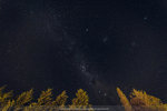 5-0239-IMG_2840