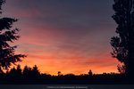 5-0241-IMG_2847