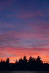5-0242-IMG_2849