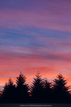 5-0245-IMG_2863