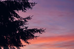 5-0247-IMG_2873