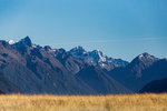 5-0269-IMG_2909