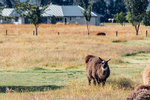 5-0284-IMG_3543