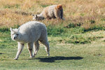 5-0285-IMG_3552