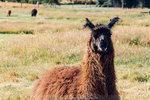 5-0292-IMG_3583
