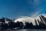 5-0319-IMG_3650