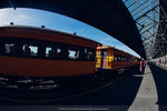 4-0155-IMG_0651