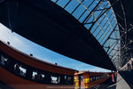 4-0156-IMG_0653