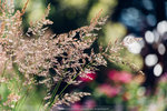 4-0567-IMG_1532