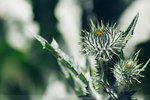 4-0569-IMG_1534