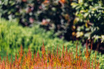 4-0582-IMG_1560