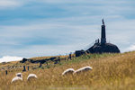 4-0697-IMG_1747